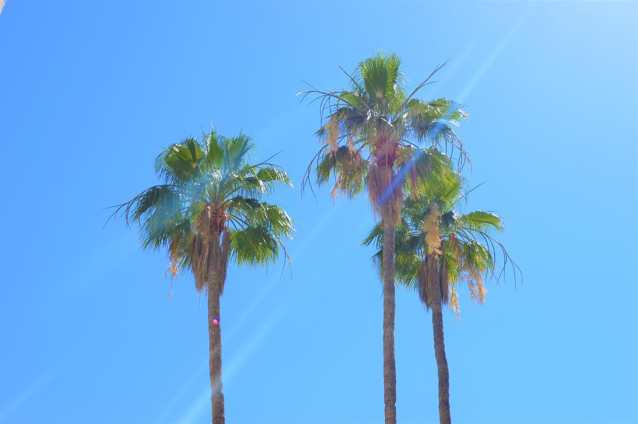 Musicland Hotel Palm Springs Exterior foto
