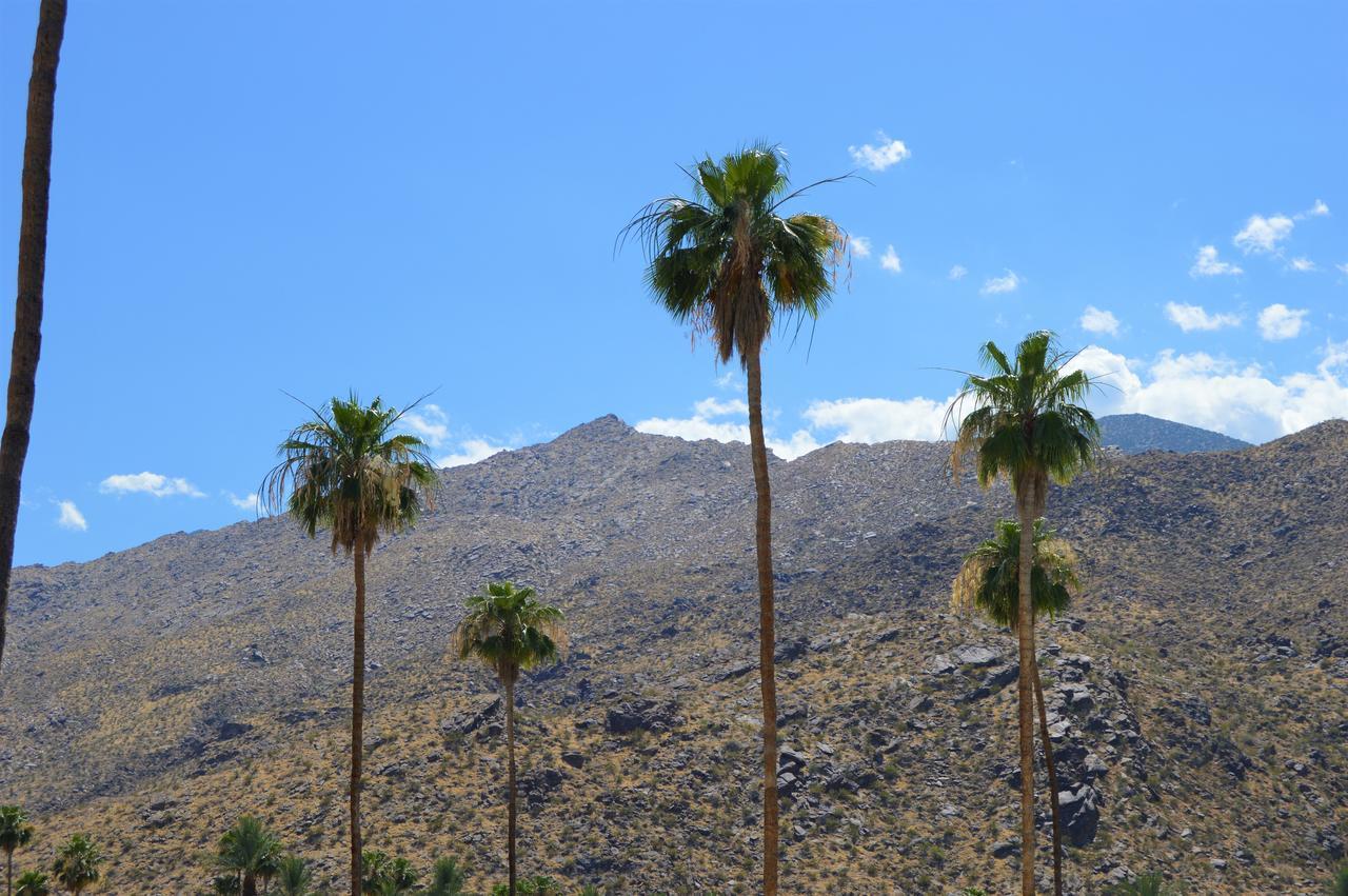 Musicland Hotel Palm Springs Exterior foto