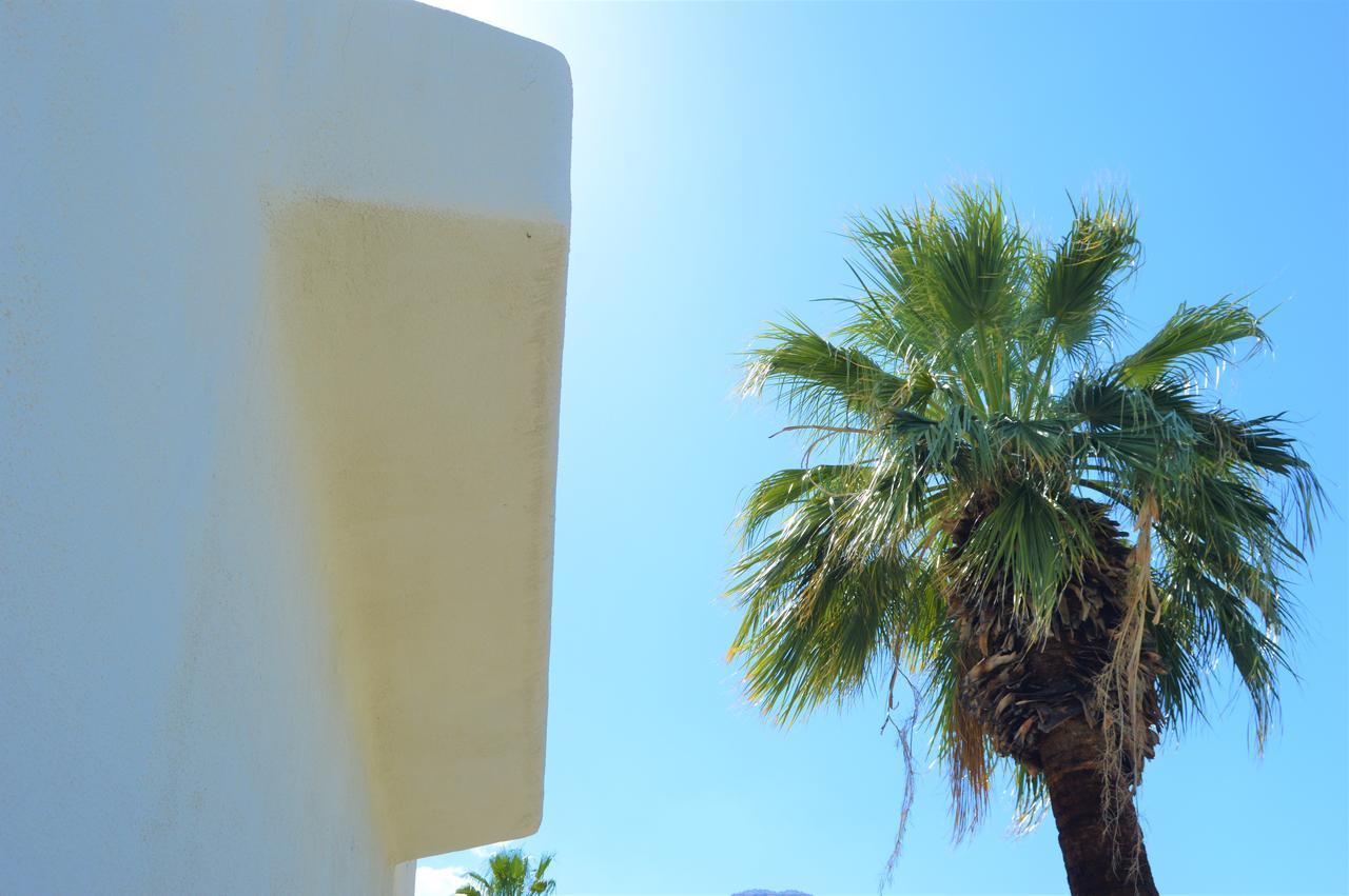 Musicland Hotel Palm Springs Exterior foto